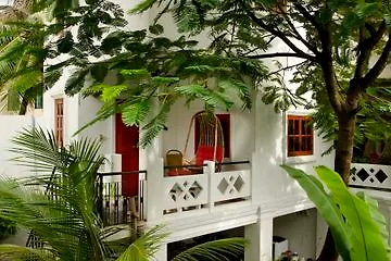 Rambutan - Siem Reap